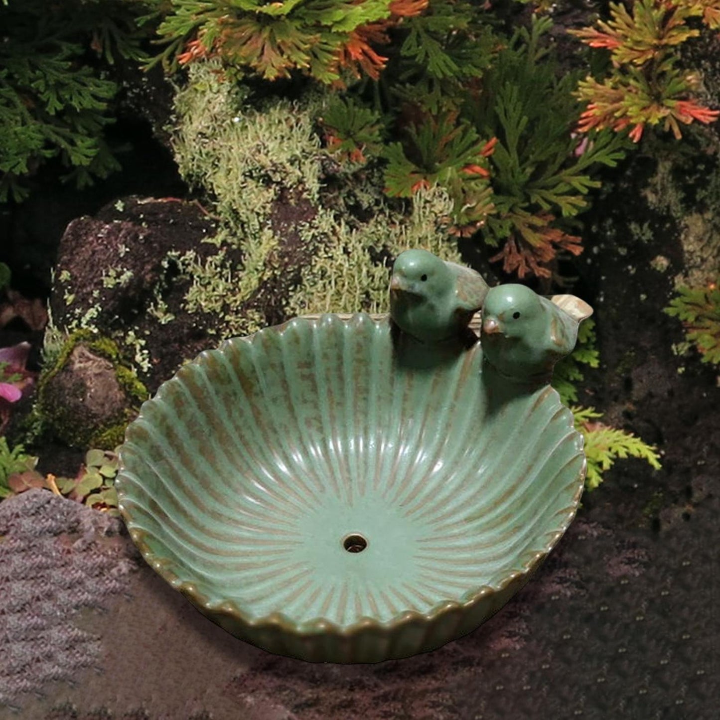Unique Bird Bowl Succulent Planter Pot